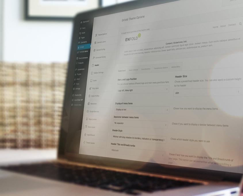 Powerful Theme Options
